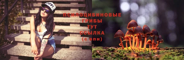 гидропоника Кулебаки