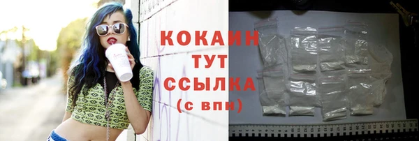 ГАЛЛЮЦИНОГЕННЫЕ ГРИБЫ Кукмор