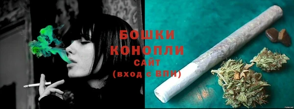 ГАЛЛЮЦИНОГЕННЫЕ ГРИБЫ Кукмор