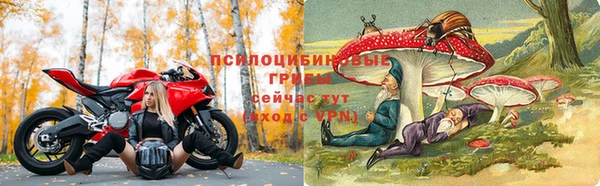 твердый Краснотурьинск