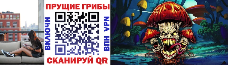Псилоцибиновые грибы мицелий  где можно купить   Лермонтов 