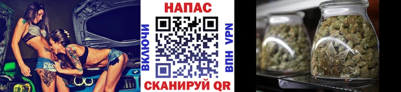 Бошки Шишки VHQ  Лермонтов 